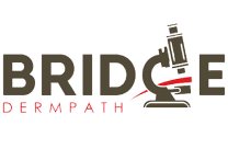 Healthcare Compliance Standards Healthcare Compliance Standards,HIPAA Compliant Medical Courier,Secure Medical Transportation Practices